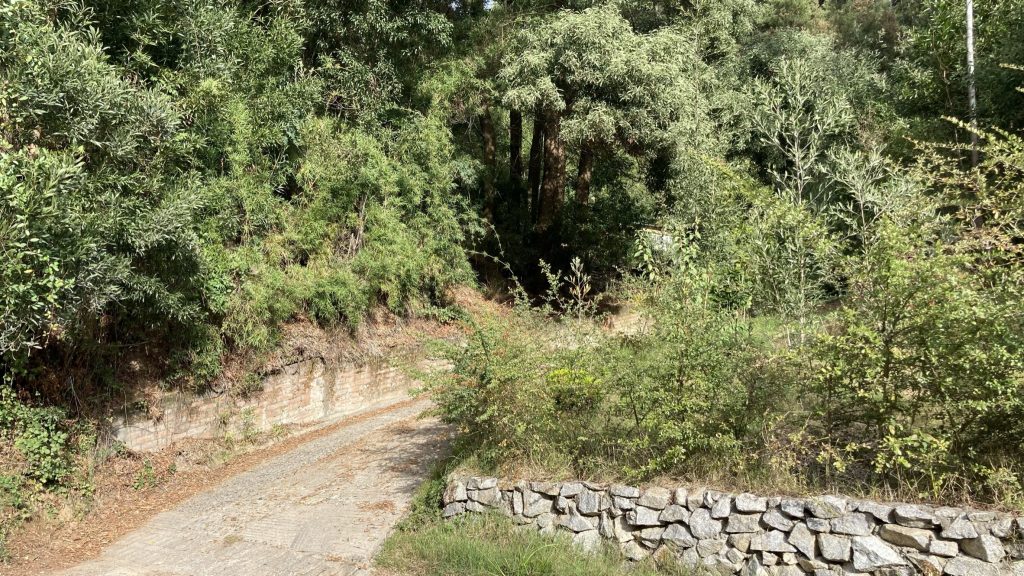 Terreno en Lonco Chiguayante venta de parcelas Villuco